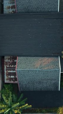 İnsansız hava aracının tropikal yaprakları arasına yerleştirilmiş sessiz bungalovlar - FullHD Dikey