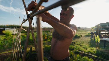 Kaslı çiftçi ahşap direklerin güvenliğini sağlıyor, kompakt şehir bahçesindeki tesislere tırmanmak için dikey destek inşa ediyor.