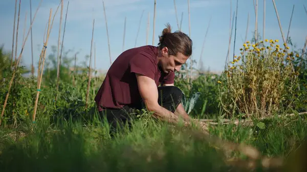 Şehir bahçesinde çalışan genç çiftçi, bitkileriyle ilgileniyor ve sürdürülebilir tarımı destekliyor.