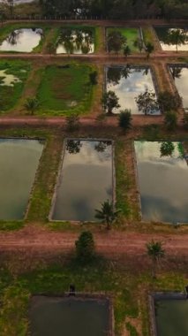 Balık çiftliği göletlerinin geometrik desenleri kırsal tarım arazisini dönüştürüyor