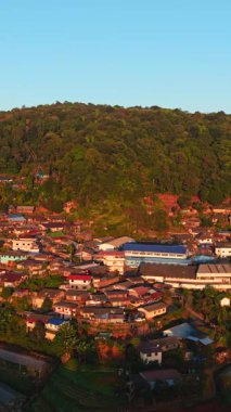 Dağın yakınındaki bir orman bölgesindeki İHA 'dan görülen köy ve seralar - FullHD Dikey