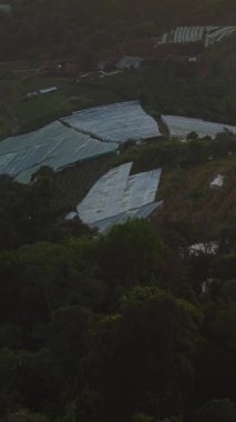 Mon Jam Thailand 'daki seralar, FullHD Dikey Turizm Alanının yanında.