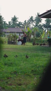 Evinin bahçesinde çalışan Asyalı bir çiftçiyi gagalayan tavuklar - FullHD Dikey