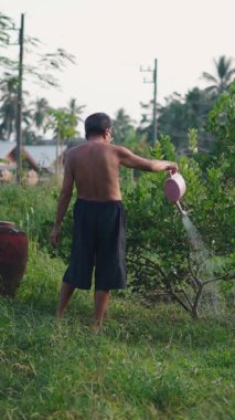 Tişörtsüz Asyalı yaşlı çiftçi bitkileriyle sessiz bir bahçede ilgilenir.