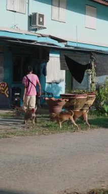 Ev bahçesinde üç köpek tarafından kovalanan Asyalı genç adam FullHD Dikey