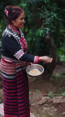 Geleneksel giysiler içinde olgun Taylandlı bir kadın kırsal ahşap tavuk kümesinin yanında tavukları dikkatlice besliyor.