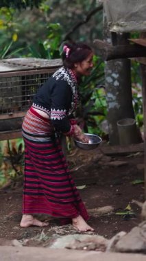 Geleneksel Tayland elbisesi içinde çıplak ayaklı olgun bir kadın mütevazı bir kırsal alanda çiftlik hayvanlarını besler.