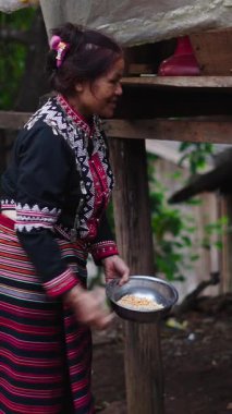 Taylandlı olgun bir kadın kırsal kesimdeki FullHD dikey tavuk beslerken mutlu bir şekilde gülümsüyor.