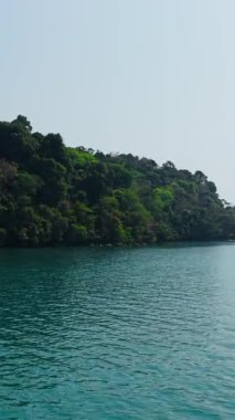 Yeşil adanın yakınındaki sarı bir kanoda sakince kürek çeken iki adam, FullHD Dikey