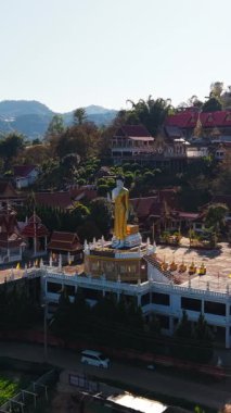 Altın Buda heykeli, Kuzey Tayland 'ın sakin dağlarına kurulmuş terk edilmiş bir Budist tapınağı olan Wat Pong Yeng Nok' ta dimdik duruyor.