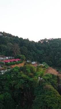 Şatafatlı göz alıcı kubbeler yemyeşil yağmur ormanları arasında yuvalanır, altın akşam ışığı altında usulca parlarlar.