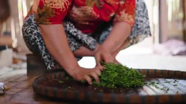 Expert Tea Farmer Carefully Sorting and Drying Freshly Picked Green Tea Leaves on a Traditional Wicker Tray on the Ground - 4K Horizontal