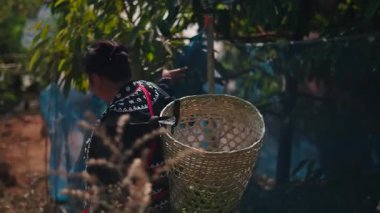 Peasant woman walking among the trees carrying a woven basket on her back dressed in traditional clothes along a dirt road between trees and green branches - 4K Horizontal