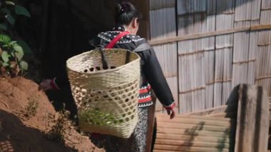 Woman going down a steep dirt road carrying a large basket on her back between traditional lahu huts made of traditional bamboo cane and wood - 4K Horizontal