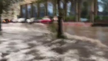 Sabah alacakaranlıkta parkın manzarası