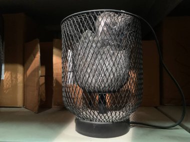 a closeup shot of a white cat in a cage