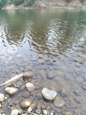 Ormanda güzel bir şelale