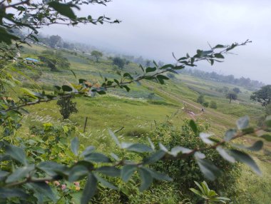 Sabahleyin dağların manzarası