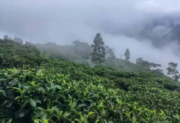 Dağın güzel manzarası