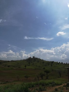 Ağacı olan güzel bir manzara