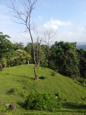 Parkın güzel manzarası
