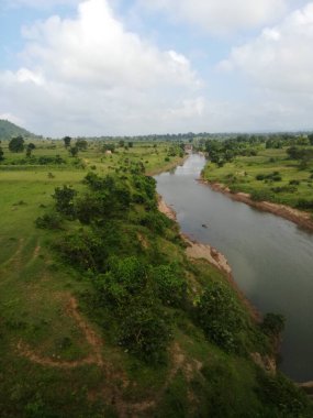 Ormandaki nehrin güzel manzarası