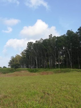 Yeşil çimenlerle ve bulutlu gökyüzüyle güzel bir manzara.