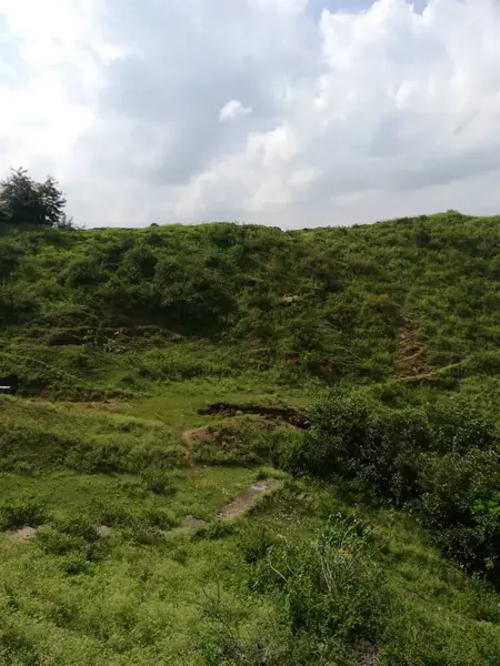 Nehir ve dağ olan güzel bir manzara.