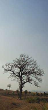 Doğanın güzel manzarası