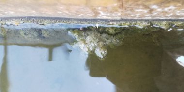 Tahta bir köprüye yakın.