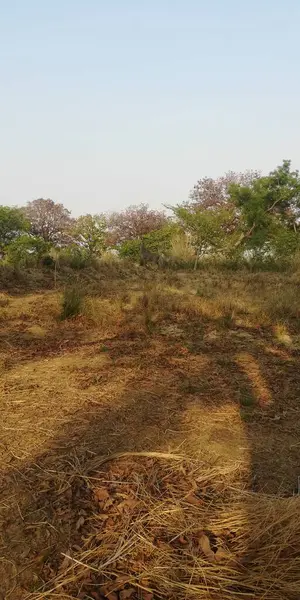 Doğanın güzel manzarası