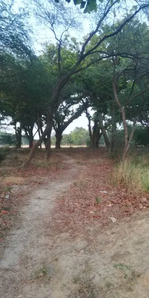 Parkın güzel manzarası