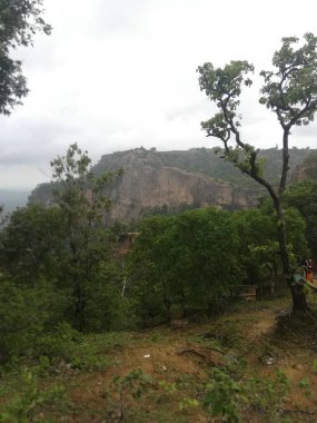 Dağları ve ağaçları olan güzel bir manzara.