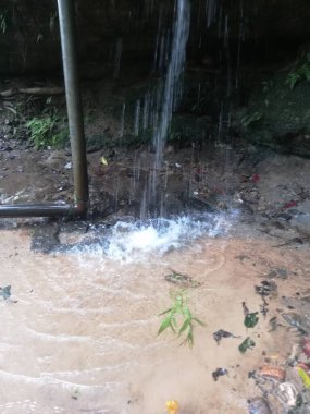 Ormanda güzel bir şelale