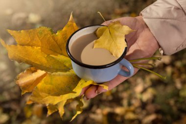 Bir kadının elinde bir kaç sarı yaprak ve bir fincan kahve ya da kakao vardır, fincanın içine küçük sarı bir yaprak düşmüştür.
