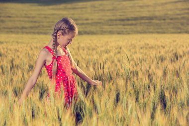 Buğday tarlasında kırmızı elbiseli bir kız, elleriyle buğdayı okşuyor, olgunlaşmış buğday, yaz ve hasat kavramı.