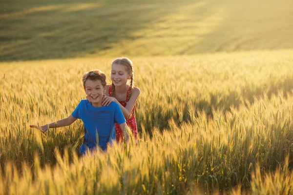 Хлопчик Дівчинка Знаходяться Посеред Жовтого Пшеничного Поля Сміються Розважаються Жести — стокове фото
