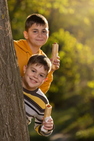 Двоє Веселих Хлопчиків Заглядають Стовбура Дерева Тримаючи Хот Доги Руках — стокове фото