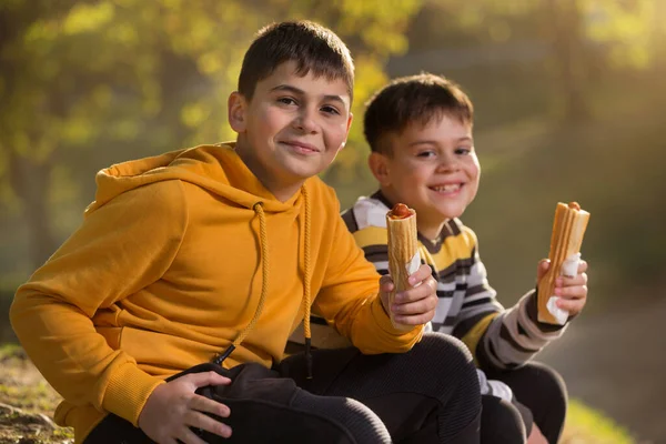 公園に座っている間にホットドッグを持って笑っている2人の陽気な友人や兄弟 屋外ランチ コンセプト — ストック写真