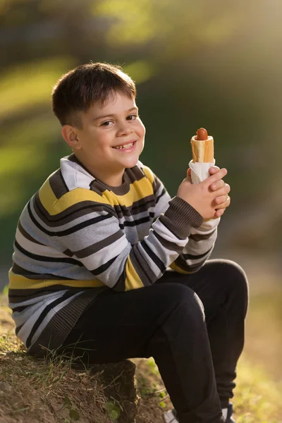 自然の中で軽食を食べながら草の上に座っている彼の手に熱い犬を持つ幸せな少年は — ストック写真