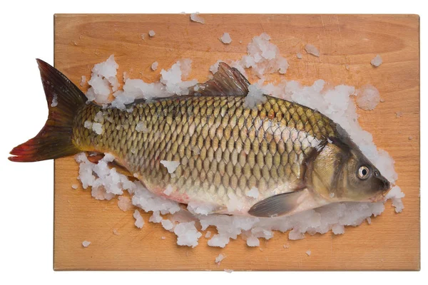 Carpa Pesce Fiume Fresco Tagliere Circondato Ghiaccio Neve Uno Sfondo — Foto Stock
