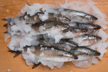 Tahta bir tahtanın üzerinde, kar ve ince buzla istiflenmiş taze bir kefal sürüsü.