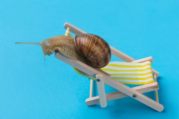 Σαλιγκάρι Κάθεται Μια Ξαπλώστρα Σαν Μια Παραλία Διακοπές Έννοια Μπλε — Φωτογραφία Αρχείου