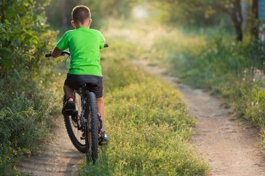 a boy rides a bicycle, drives away, with his back to the camera, surrounded by greenery, beautiful sunlight