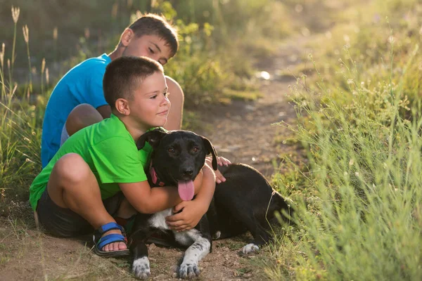 two boys play with a dog in nature, one of them hugs a black dog, summer evening