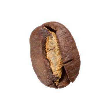 One roasted brown coffee bean, close-up, on a white background, isolate
