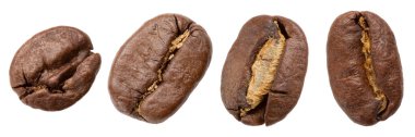 Four roasted coffee beans, different shapes and sizes, on a white background, macro photography, isolate