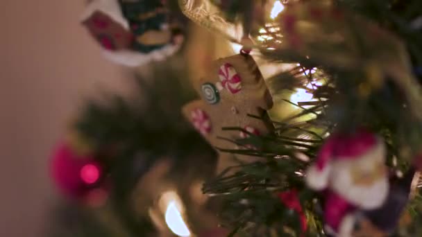 Nahaufnahme Eines Geschmückten Weihnachtsbaums Mit Roten Kugeln Und Plätzchenbaumschmuck — Stockvideo