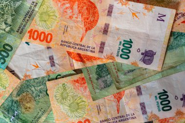 Bin beş yüz banknota karışmış bir sürü Arjantin pezosu.