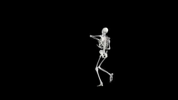Sexy Esqueleto Dança Com Canal Alfa — Vídeo de Stock